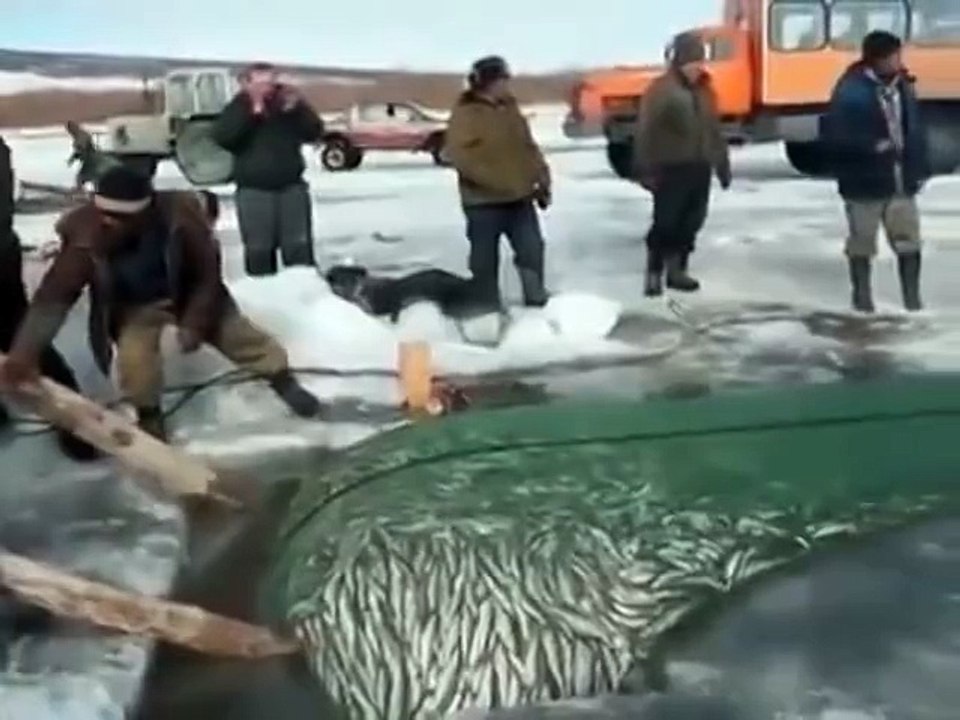 Fishing In Snow