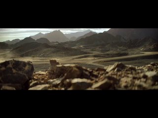 Azhar Ali Beautiful Dive Catch and dug out Hafeez PSL 2016 (Zalmi vs Qalandars)