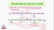 Synthesis of Amino Acids & Reactions of Amino Acids [ Esterfication ]