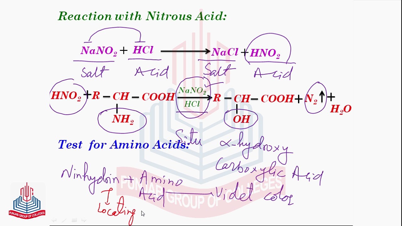 Reactions of Amino Acids [ With Nitrous Acid ] , Test for Amino Acids & Synthesis Of Peptides & Proteins