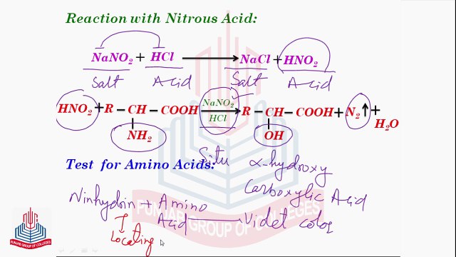 Reactions of Amino Acids [ With Nitrous Acid ] , Test for Amino Acids & Synthesis Of Peptides & Proteins