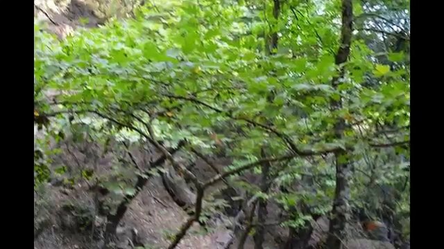 Rhodes Butterfly Valley Родос Долина Бабочек