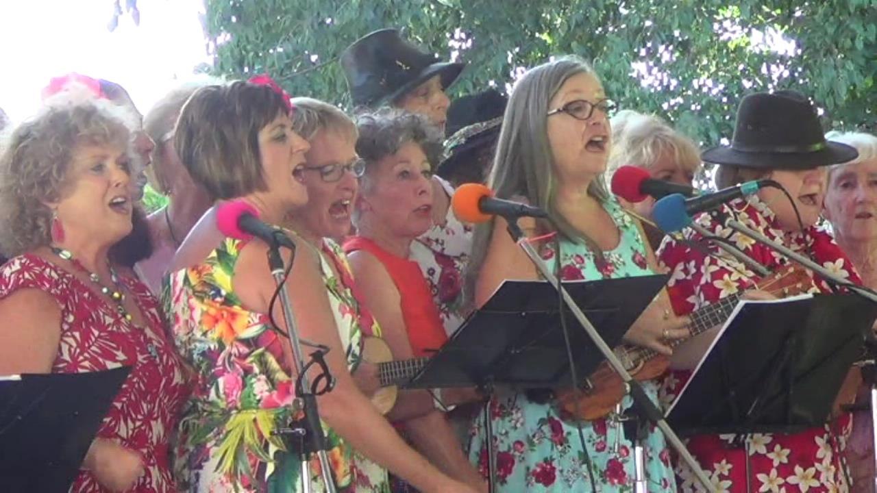 Blue Mountains Ukulele Festival 7th Annual Part 2 of 3, Katoomba 13 Feb 2016