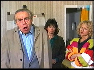 Szomszédok 040. Rész  1988 November 3