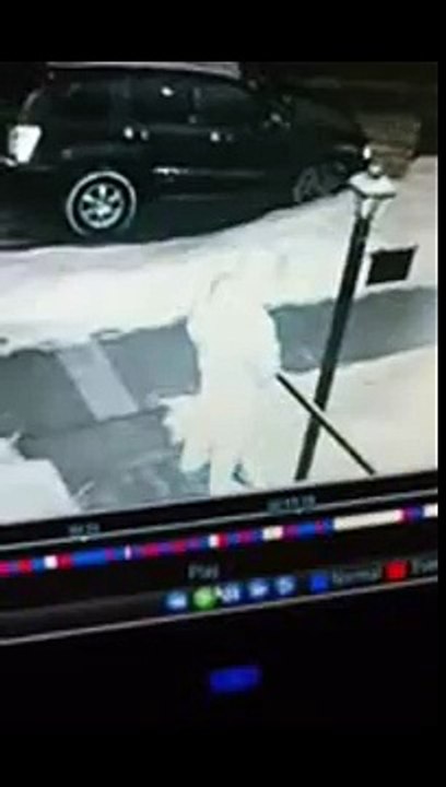 Pissing in front lawn results in instant karma