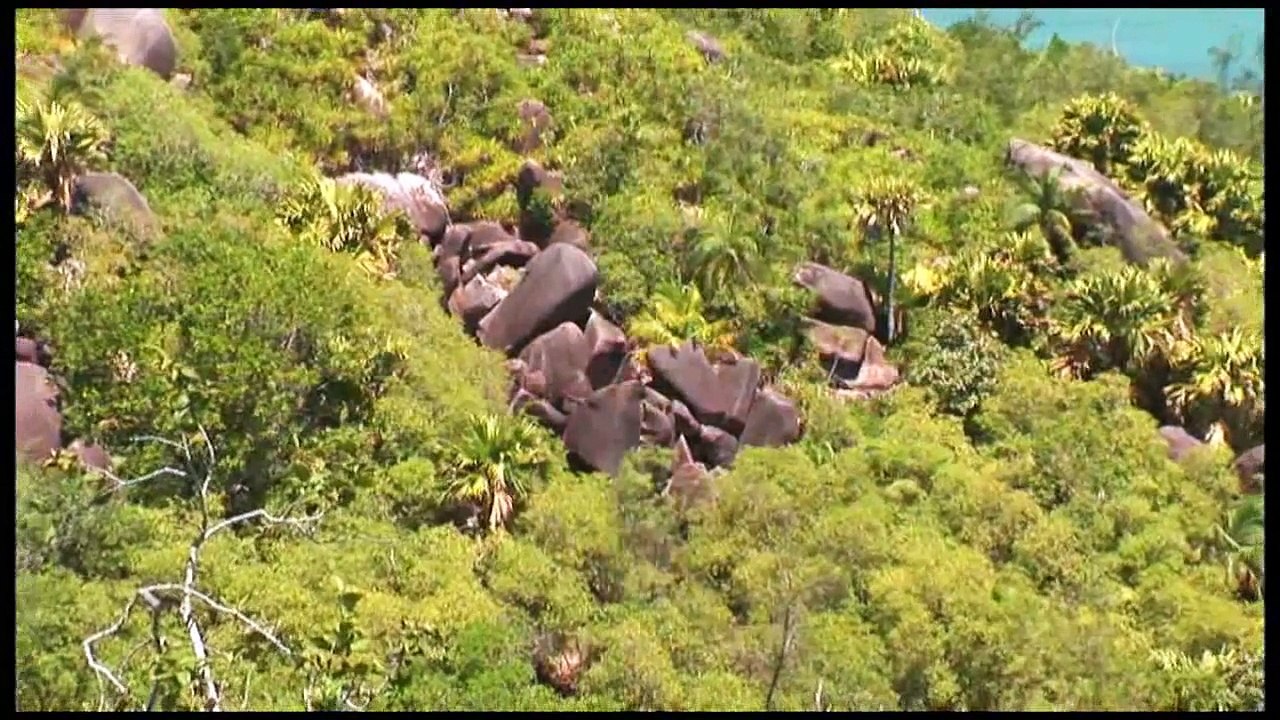 Around The World - Seychelles (Вокруг Света -Сейшельские острова)