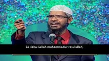 Dr. Zakir Naik Videos. Pria Sikh Menerima Kebenaran Islam! Dr Zakir Naik