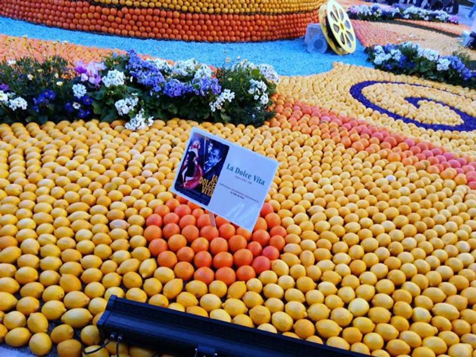 les citrons de menton