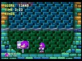 Hydrocity Zone Knuckles Act 2
