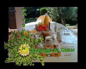 09 Août 2005 Les Gorges du Tarn Réduite