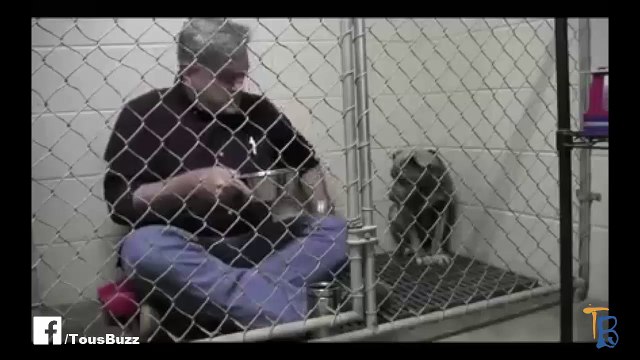 Un vétérinaire montre l'exemple à un chiot trop terrifié pour manger