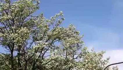 Geleceğin Havaalanı