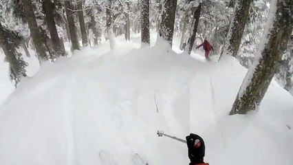 Download Video: Des skieurs hors-piste surpris par un léopard des neiges