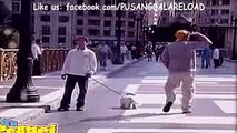 funny clips-funniest videos-best funny-funny site-short clips-comedy clips[7]