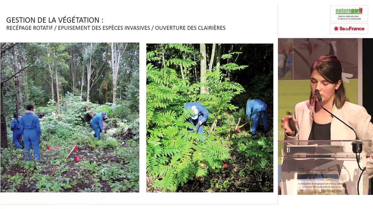 Restauration écologique des berges et milieux humides en Val-de-Marne. Chloë Francisci, association Au fil de l'Eau.