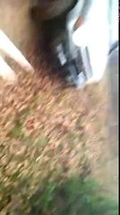 Off road micubisi pinin