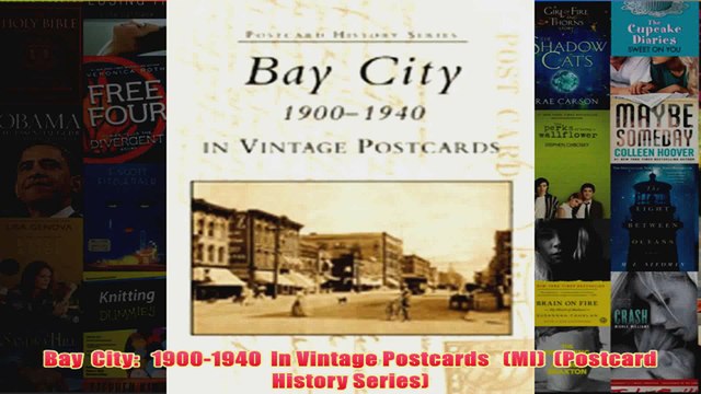 Download PDF Bay City 19001940 In Vintage Postcards MI Postcard History Series FULL FREE