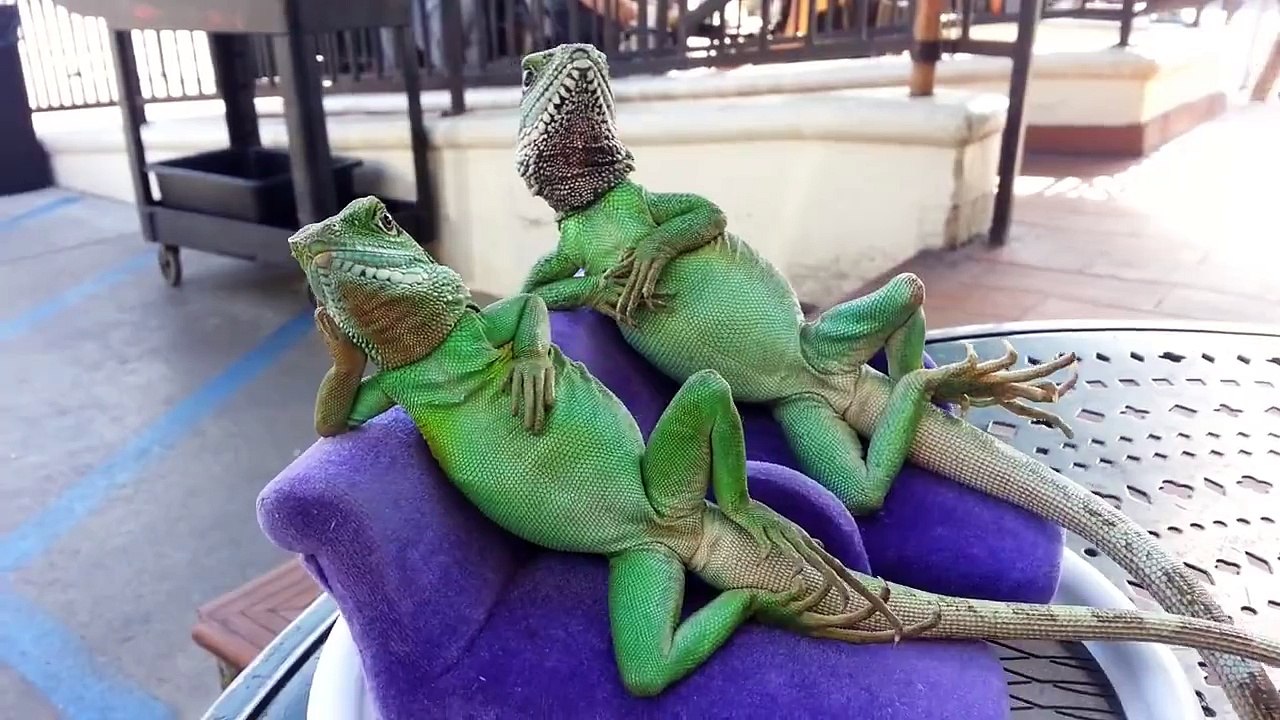 When I try to look cool at the beach