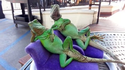 When I try to look cool at the beach