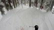 Des skieurs tombent sur un léopard des neiges
