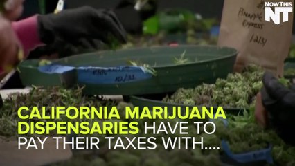 California Dispensaries Have To Carry Around Giant Bags Of Cash