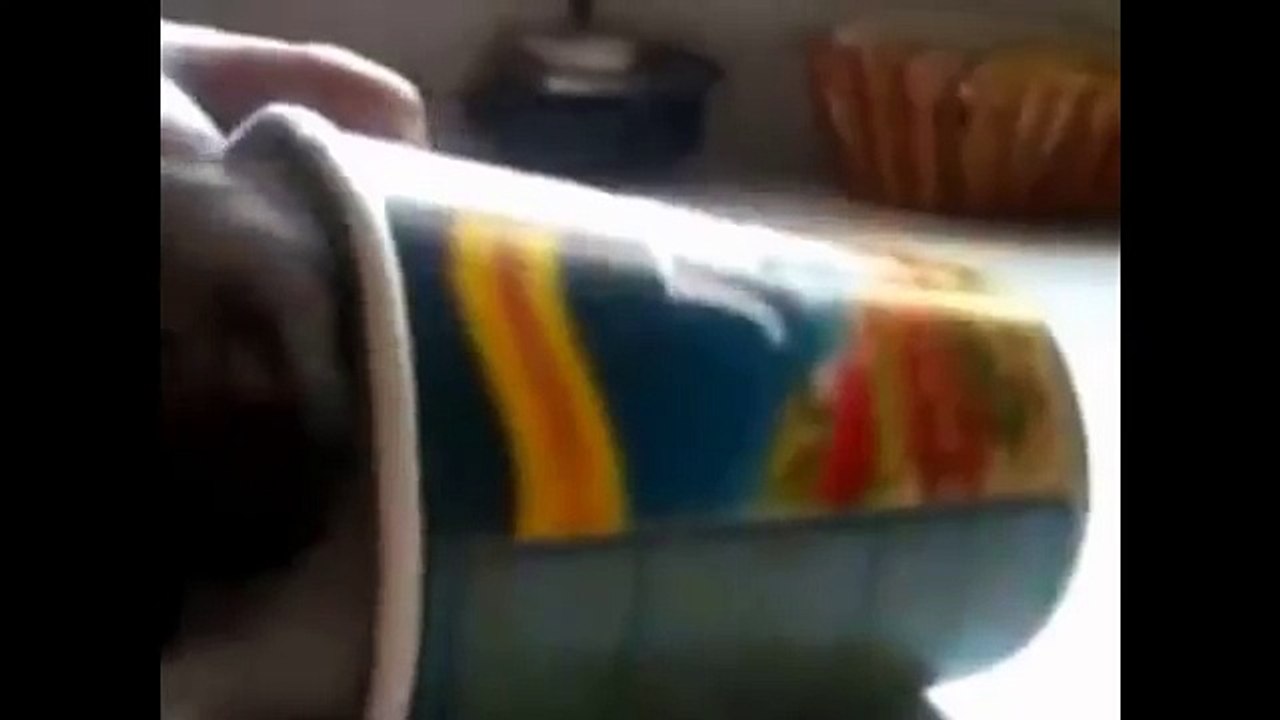 Funny Adorable Kitten Play In Paper Cup (FULL HD)