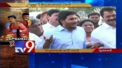 YS Jagan dares Chandrababu to fight elections