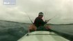 Un kayakiste mis à l'eau par un requin. Grand moment de frayeur!