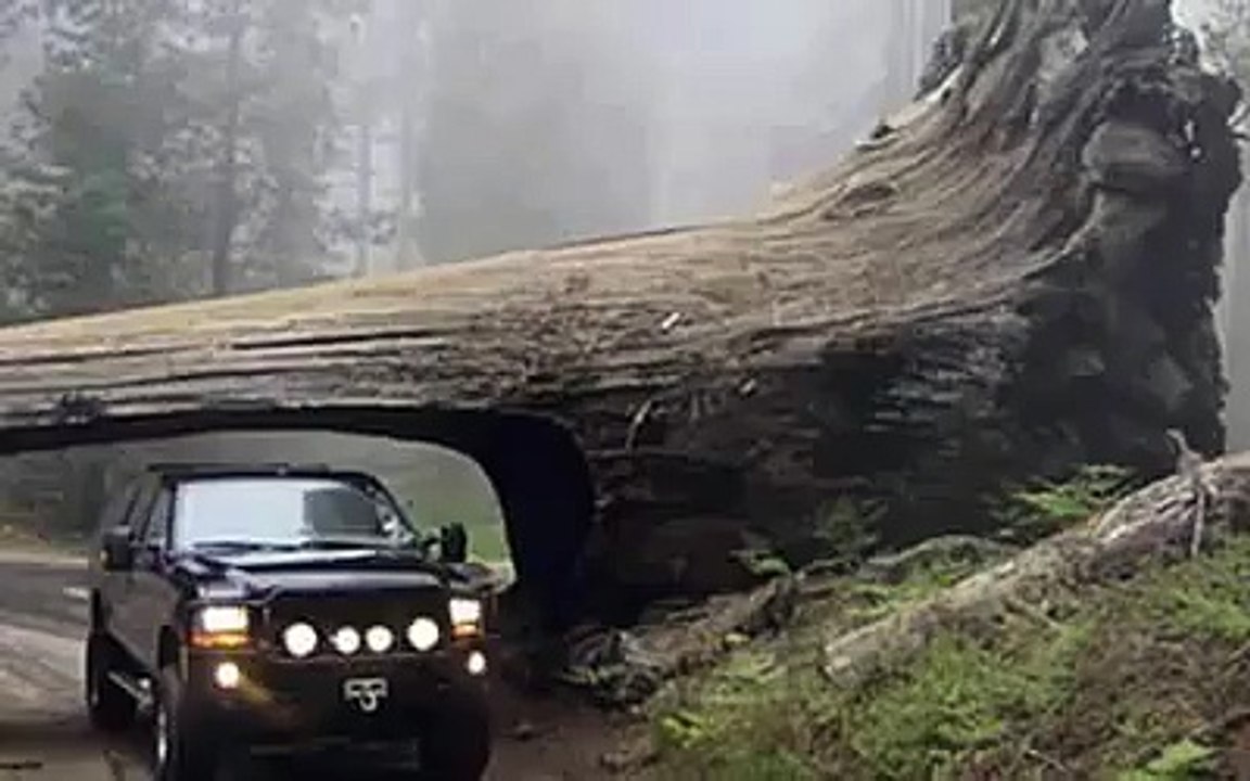 must watch
