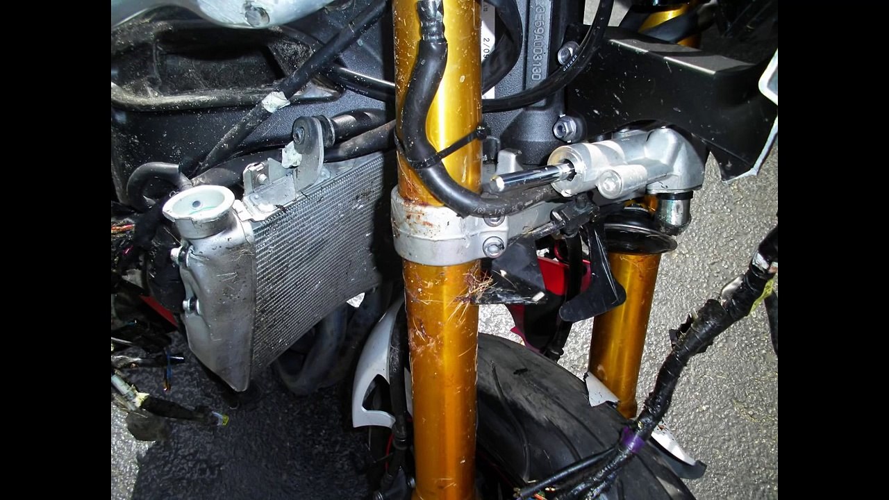 Motorcycle vs Deer Crash! Yamaha R1 Cuts Deer in Half Motorcycle Accident Aftermath