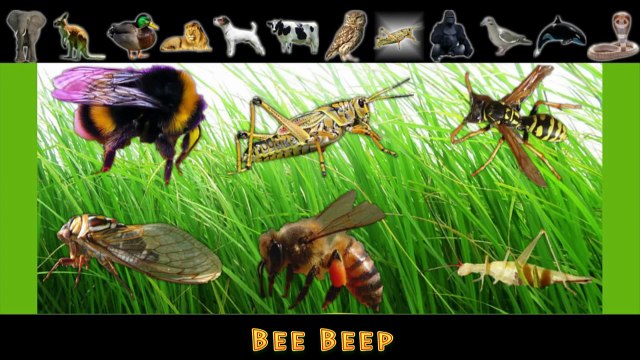 Мультики про животных для самых маленьких Животные и их звуки, часть 2