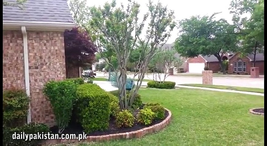دنیا بھر سے سامنے آنے والی ویڈیوز