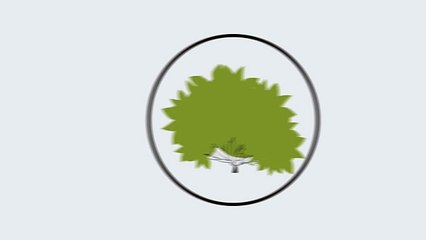 Дёрен белый. Инструкция по посадке. СадСвоимиРуками