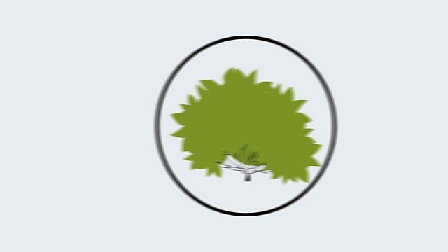 Дёрен желтый с окантовкой. Инструкция по посадке. СадСвоимиРуками