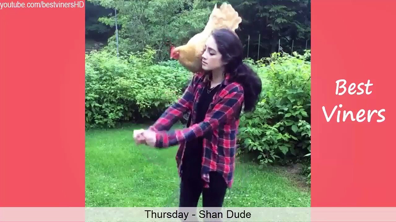 Top 100 Funny Animals Vines 2016 - Vine compilation - Best Viners