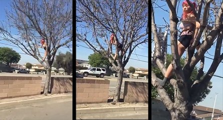 Une femme dans un arbre