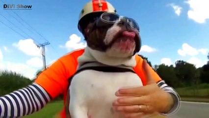 Divi Show - Выпуск #2 Мальчик разбил Ipad