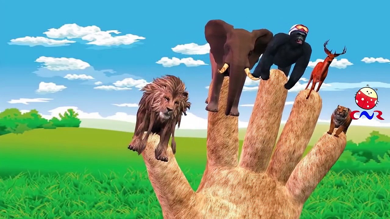 Finger Family Rhymes Animals Cartoons for Children | Finger Family Children Nursery Rhymes