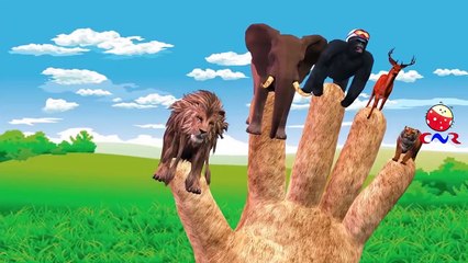 Finger Family Rhymes Animals Cartoons for Children | Finger Family Children Nursery Rhymes