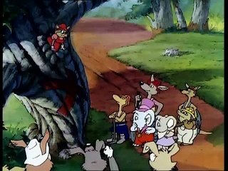 Blinky Bill Season 1 Episode 23 Blinky Bill the Mayor