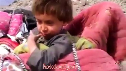 کوچيان د پښتنو قديم ترين بڼه ژوندئ ساتلې ددوئ کړه وړه