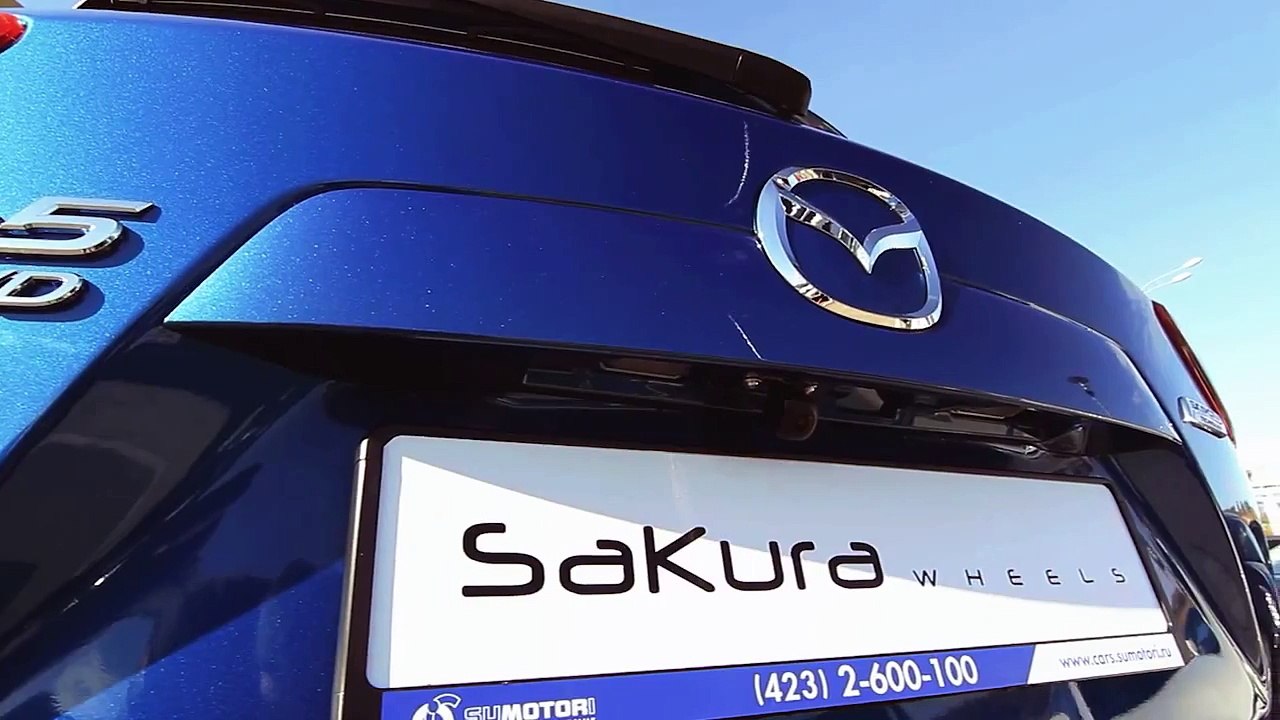 диски Sakura Wheels модель 3106