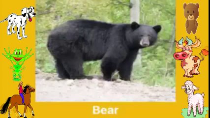 تعليم اسماء الحيوانات - Learning Animals For Toddlers