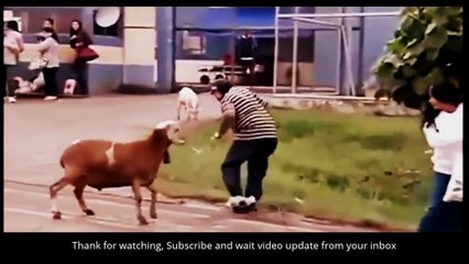 Ultimate Fails Compilation 2016 _FUNNY VIDEOS 2016  types of movies