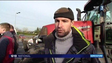 Crise des éleveurs : les agriculteurs bloquent Rennes
