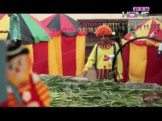 Zindagi Mujhay Tera Pata Chahiye 57 on Ptv home