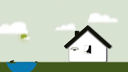 Ива Пурпурная. Инструкция по посадке. СадСвоимиРуками