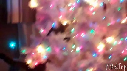 Кошки и новогодние елки. Подборка 2015