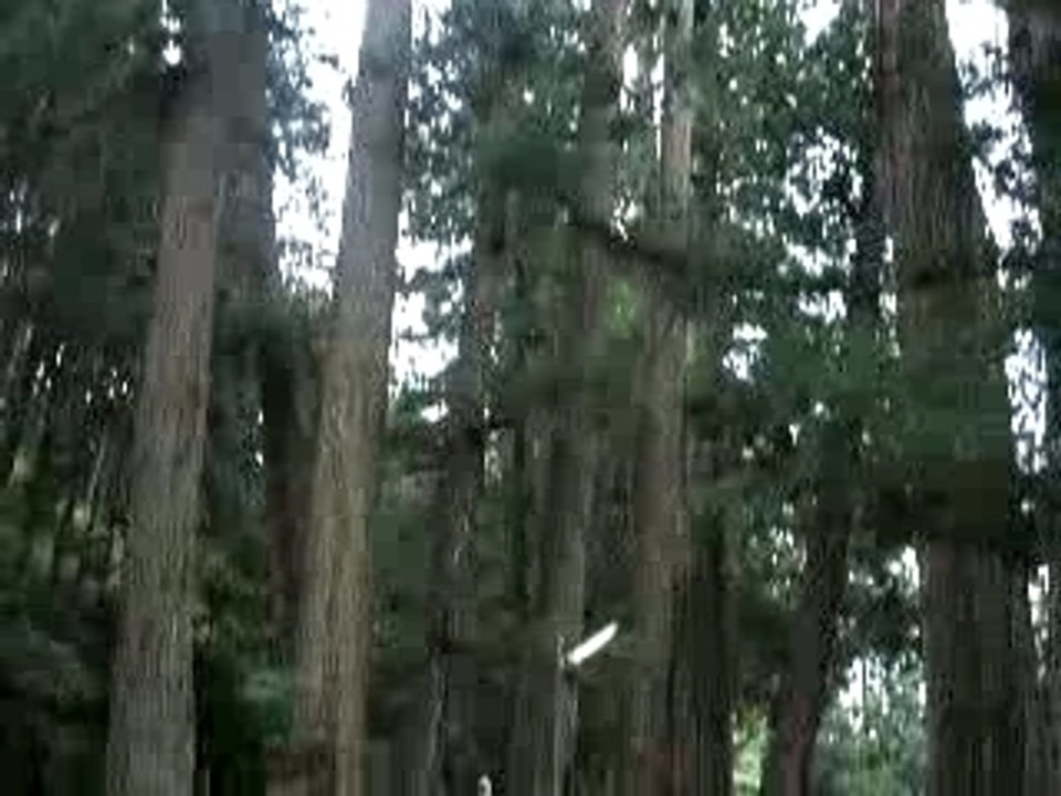 Sanctuaire de Koya san Japon