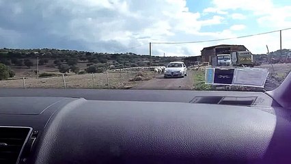 Modern sardinian shepherd on Alfa Romeo